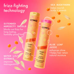super-sized frizz fighters set anti-frizz shampoo, conditioner + treatment