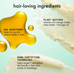 mane menders strength repair wash + care set