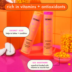 super-sized signature set normcore shampoo and conditioner + soulfood mask