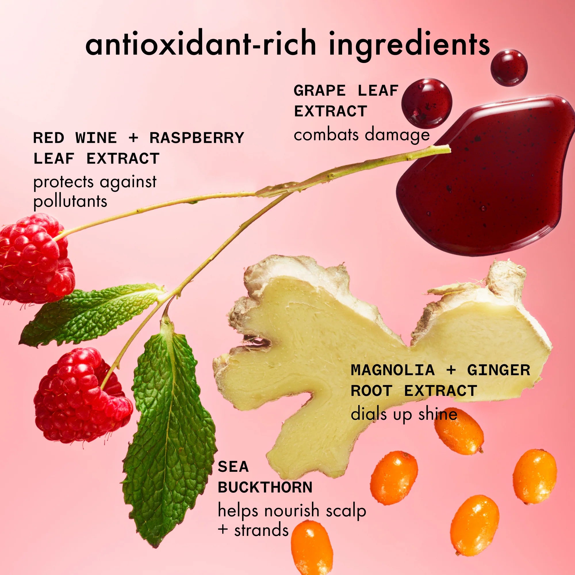 mirrorball high shine + protect antioxidant conditioner - 9.2 oz / 275 ml