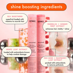 super-sized shine set mirrorball high shine + protect antioxidant shampoo + conditioner + flash mask