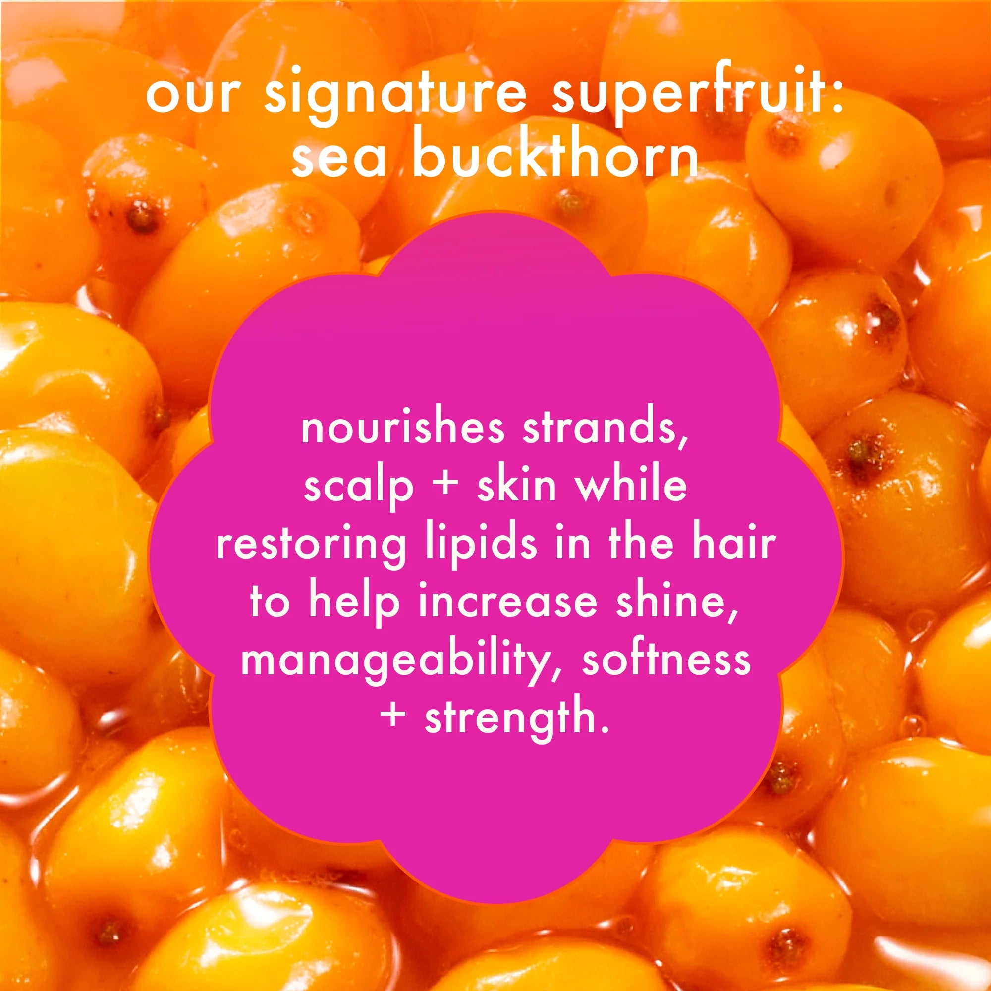 super-sized blonde set bust your brass cool blonde shampoo + conditioner + intense repair hair mask